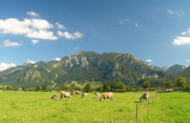 Jaegerhof Und Jaegerstadel Schwangau Extérieur photo